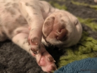 IMG_20250116_101625_web