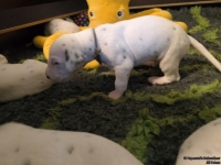 IMG_20250116_101628_web