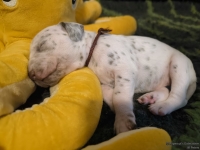 IMG_20250116_101636_web