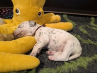 IMG_20250116_101648_web