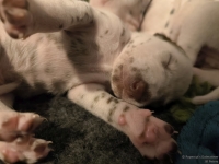 IMG_20250116_101714_web