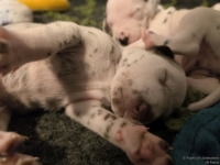 IMG_20250116_101716_web