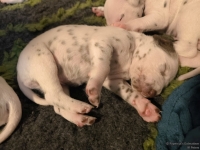 IMG_20250116_101727_web