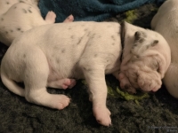 IMG_20250116_101742_web