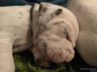 IMG_20250116_101748_web