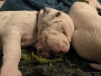 IMG_20250116_101756_web