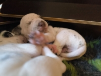 IMG_20250116_101802_web