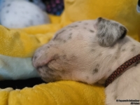 IMG_20250116_101809_web