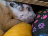 IMG_20250116_101825_web