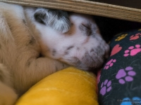 IMG_20250116_101826_web