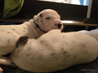 IMG_20250116_101831_web