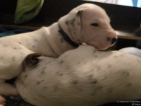 IMG_20250116_101835_web