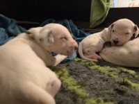 IMG_20250116_101838_web