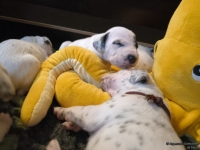 IMG_20250116_101902_web