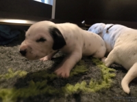 IMG_20250116_101905_web