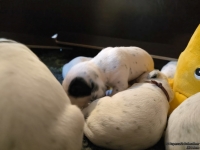 IMG_20250116_101909_web