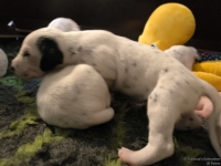 IMG_20250116_101914_web