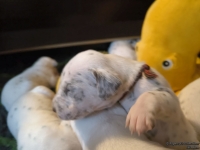 IMG_20250116_101930_web