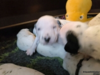 IMG_20250116_101933_web