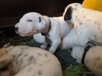 IMG_20250116_101935_web