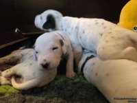 IMG_20250116_101936_web