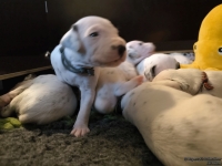 IMG_20250116_101942_web