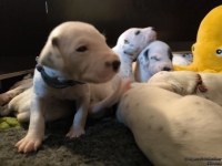 IMG_20250116_101943_web