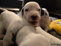 IMG_20250116_101948_web