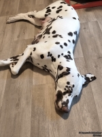 IMG_20250116_112420_web