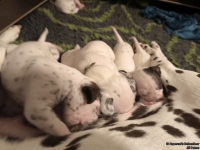 IMG_20250116_172153_web