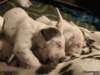 IMG_20250116_172159_web