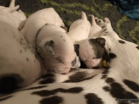 IMG_20250116_172202_web