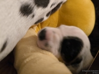 IMG_20250116_172207_web