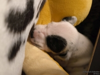 IMG_20250116_172222_web