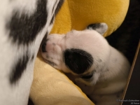 IMG_20250116_172223_web