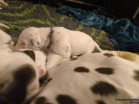 IMG_20250116_172230_web