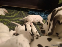 IMG_20250116_172244_web