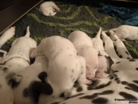 IMG_20250116_172256_web