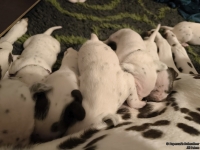 IMG_20250116_172259_web