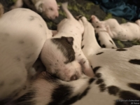 IMG_20250116_172316_web