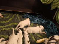 IMG_20250116_172322_web