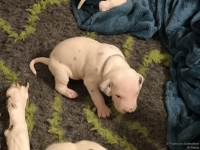 IMG_20250116_172345_web