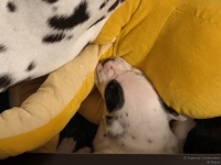 IMG_20250116_172400_web