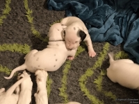 IMG_20250116_172429_web