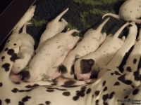 IMG_20250116_172450_web