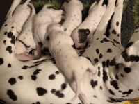 IMG_20250116_172516_web