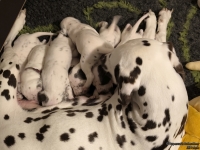 IMG_20250116_172518_web