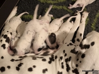 IMG_20250116_172524_web