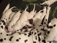 IMG_20250116_172526_web