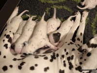 IMG_20250116_172530_web